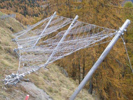Lawinenschutzverbauung, Moos in Passeier